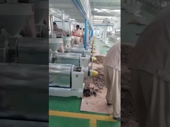 mesin press minyak cabai