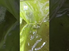 mesin press minyak biji bunga matahari