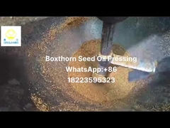 ekstraktor minyak yang dipencet dingin