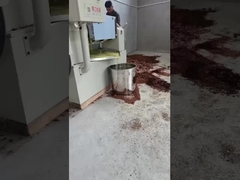 mesin press minyak dingin