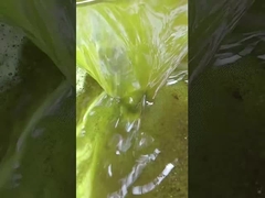 mesin ekstraksi kedelai kue minyak pers dingin